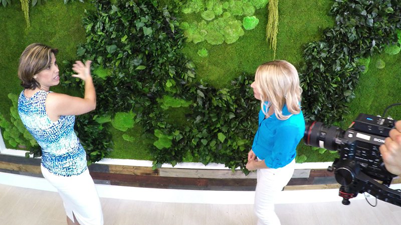 Studio Lobby Receives Gorgeous Garden on the Wall